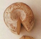 aragon