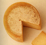 caciotta-di-pecora