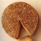 castellano