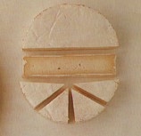coulommiers