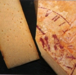 fontina