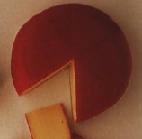fynbo