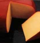 gouda