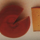 molbo
