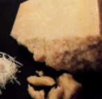 pecorino