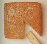 taleggio
